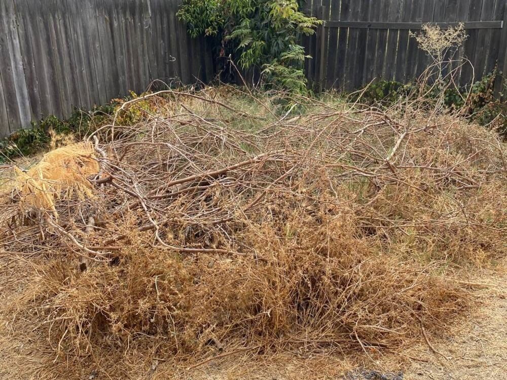 Before: a large pile of dry brush and branches against a backyard fence