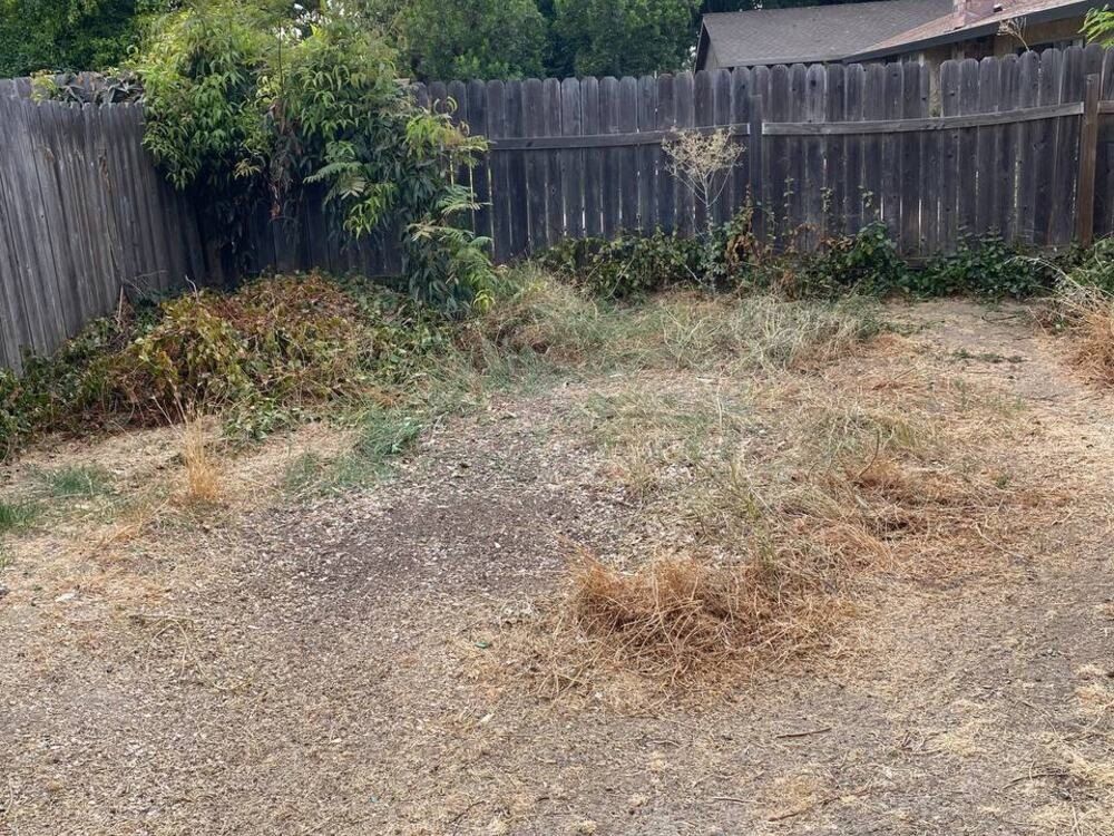 After: the same backyard corner cleared to bare ground